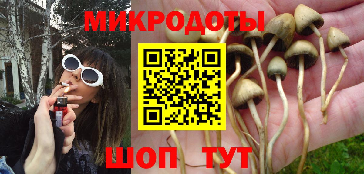 Псилоцибиновые грибы Psilocybe  Вход с VPN  Истра  Псилоцибиновые грибы Magic Shrooms 
